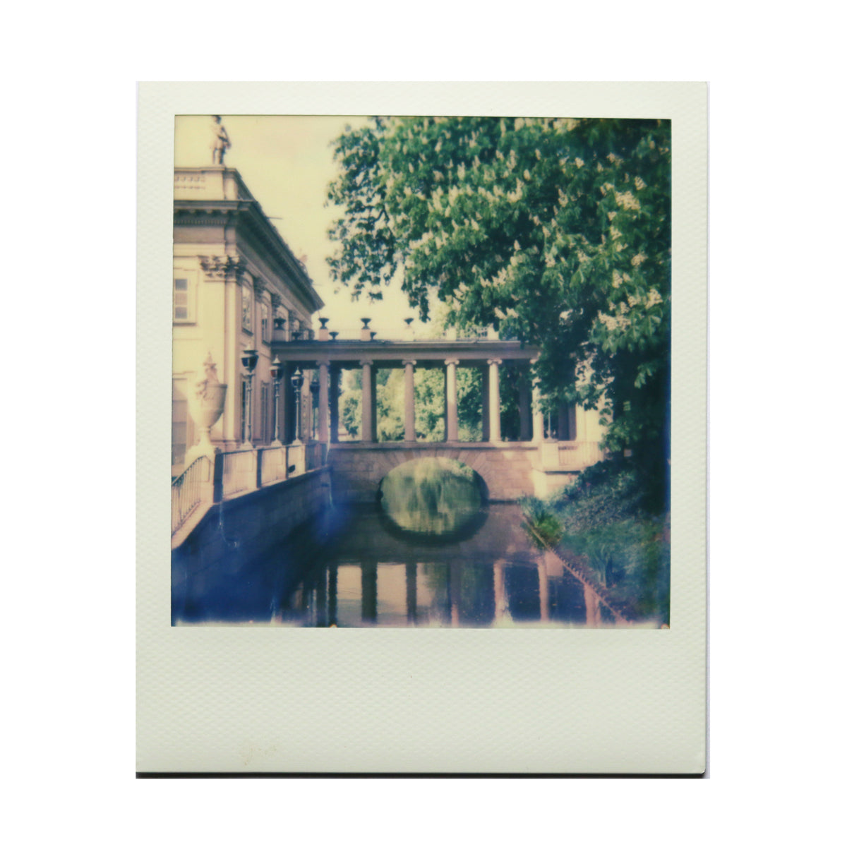 Łazienki Cyanotype 1 of 1